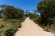 10 - Maria Island NP (6)